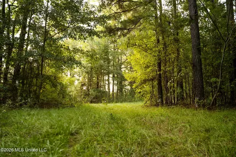 Co Rd 717, Union, MS 39365 photo 2
