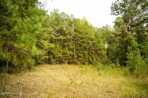 Co Rd 717, Union, MS 39365 photo 13