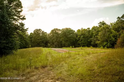 Co Rd 717, Union, MS 39365 photo 21