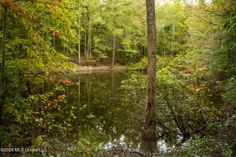 Co Rd 717, Union, MS 39365 photo 31