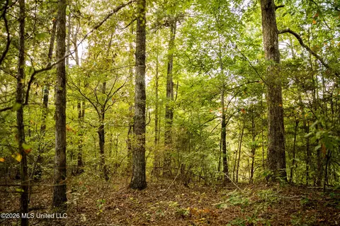 Co Rd 717, Union, MS 39365 photo 35