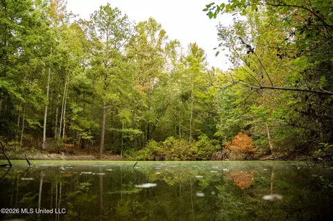 Co Rd 717, Union, MS 39365 photo 4