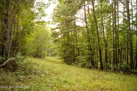 Co Rd 717, Union, MS 39365 photo 16