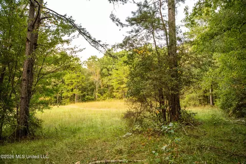 Co Rd 717, Union, MS 39365 photo 18