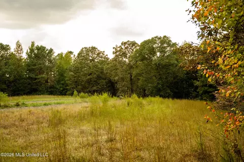 Co Rd 717, Union, MS 39365 photo 24