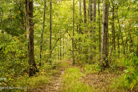 Co Rd 717, Union, MS 39365 photo 29