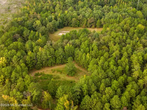Co Rd 717, Union, MS 39365 photo 14