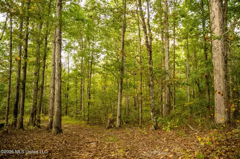 Co Rd 717, Union, MS 39365 photo 27