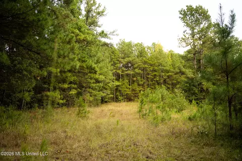 Co Rd 717, Union, MS 39365 photo 10
