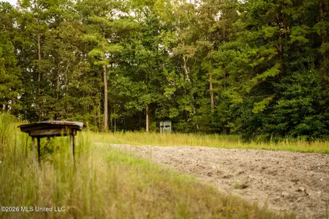 Co Rd 717, Union, MS 39365 photo 34