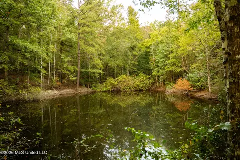 Co Rd 717, Union, MS 39365 photo 33