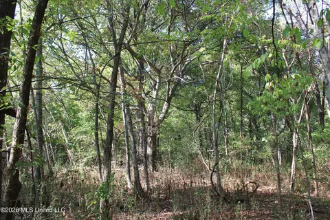 17 Star Landing Rd, Nesbit, MS 38651 photo 31