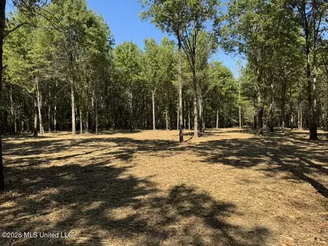 0079 Highway 16, Rolling Fork, MS 39159 photo 34