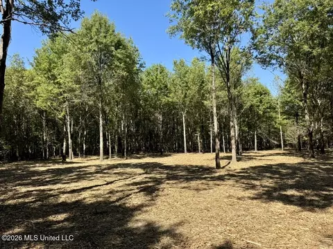 0079 Highway 16, Rolling Fork, MS 39159 photo 32