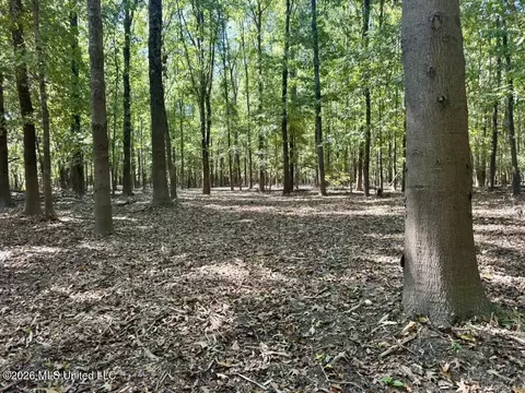 0079 Highway 16, Rolling Fork, MS 39159 photo 23