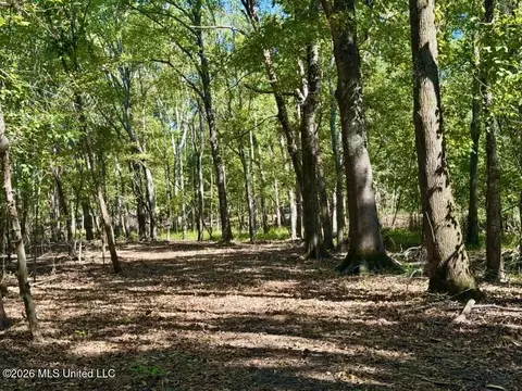 0079 Highway 16, Rolling Fork, MS 39159 photo 20