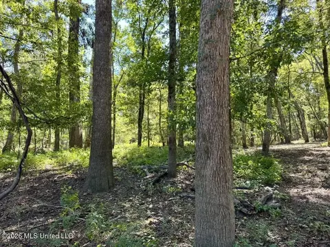 0079 Highway 16, Rolling Fork, MS 39159 photo 7