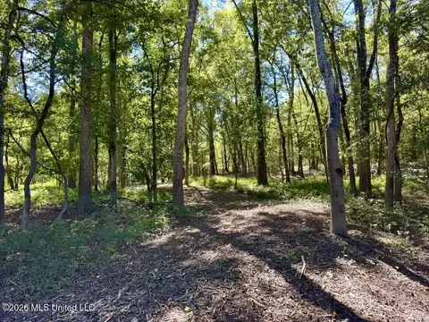 0079 Highway 16, Rolling Fork, MS 39159 photo 31