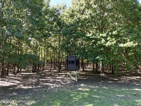0079 Highway 16, Rolling Fork, MS 39159 photo 16
