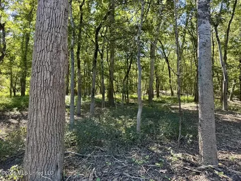 0079 Highway 16, Rolling Fork, MS 39159 photo 29