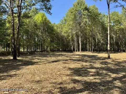 0079 Highway 16, Rolling Fork, MS 39159 photo 25