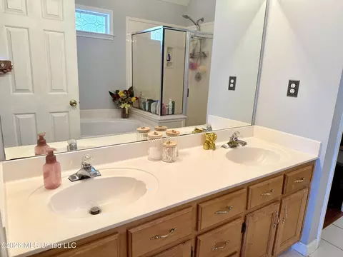 Bath - 9635 N Geneva Loop, Olive Branch, MS 38654 photo 1 of 4