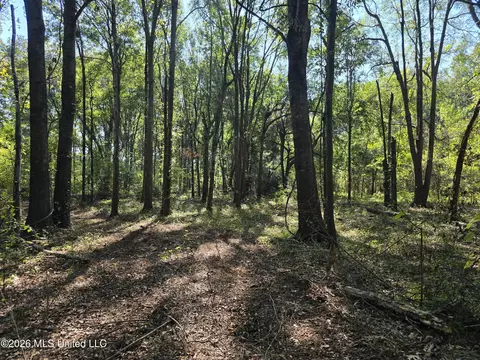 W Hwy 82, Greenville, MS 38701