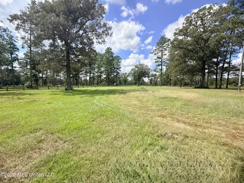 Other - 5286 Mississippi 198, Lucedale, MS 39452 photo 6 of 10