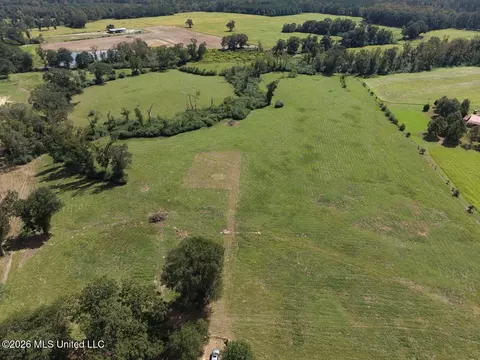 6793 Brown Rd, Smithdale, MS 39664 photo 2