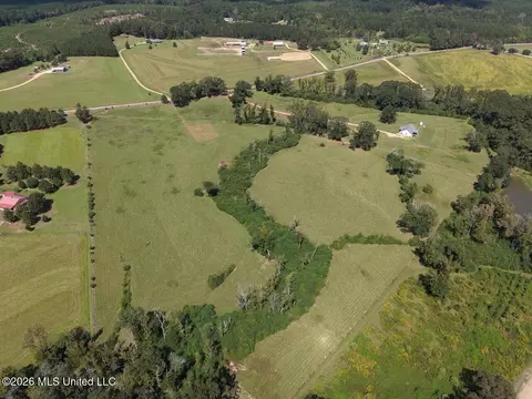 6793 Brown Rd, Smithdale, MS 39664 photo 3