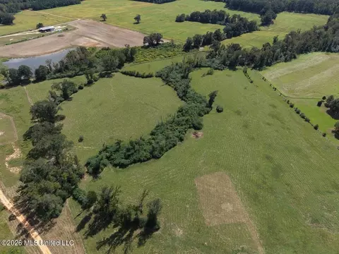 6793 Brown Rd, Smithdale, MS 39664 photo 8