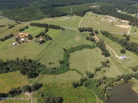 6793 Brown Rd, Smithdale, MS 39664 photo 18