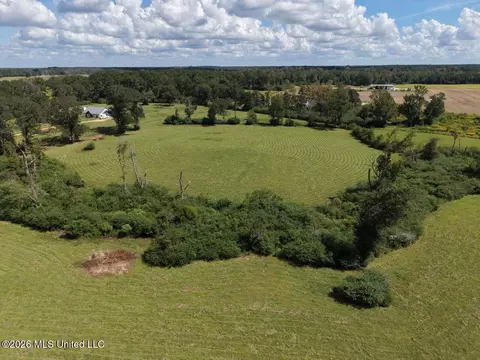 6793 Brown Rd, Smithdale, MS 39664 photo 11