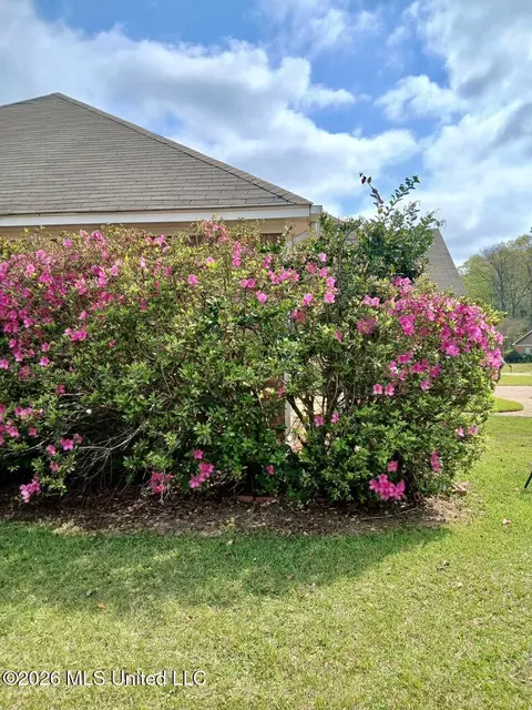 Exterior - 2023 S Cobblestone Cv, Brandon, MS 39042 photo 4 of 14