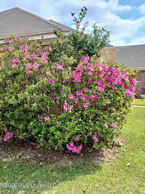 Other - 2023 S Cobblestone Cv, Brandon, MS 39042 photo 2 of 11