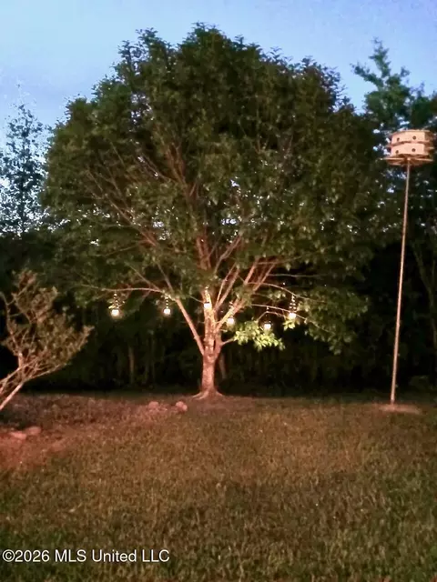 Other - 2023 S Cobblestone Cv, Brandon, MS 39042 photo 6 of 11