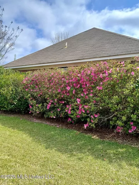 Exterior - 2023 S Cobblestone Cv, Brandon, MS 39042 photo 3 of 14