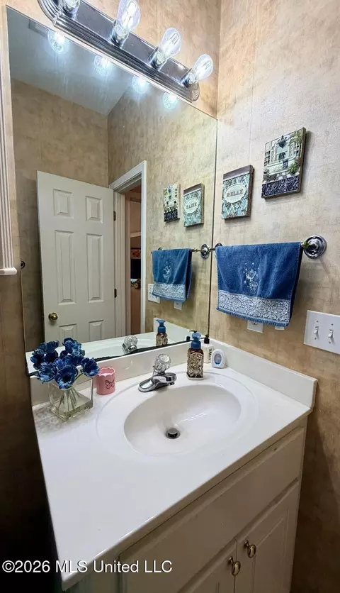 Bath - 2023 S Cobblestone Cv, Brandon, MS 39042 photo 4 of 4
