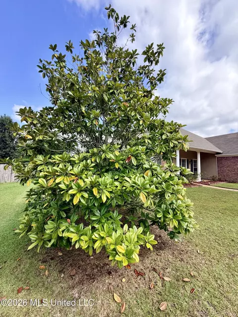 Exterior - 2023 S Cobblestone Cv, Brandon, MS 39042 photo 13 of 14
