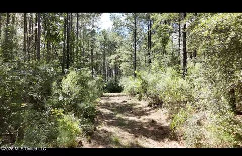 0 Union Rd SE, Brookhaven, MS 39601 photo 4