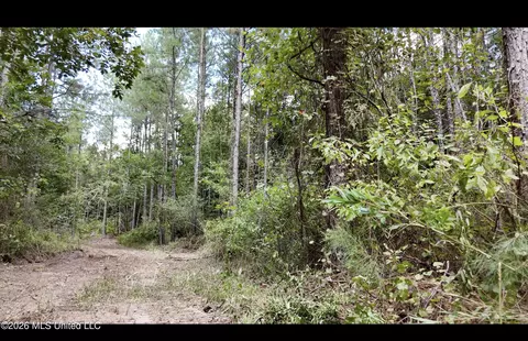 0 Union Rd SE, Brookhaven, MS 39601 photo 19