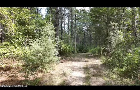 0 Union Rd SE, Brookhaven, MS 39601 photo 7