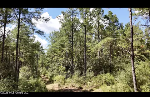 0 Union Rd SE, Brookhaven, MS 39601 photo 14