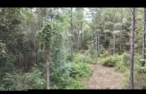0 Union Rd SE, Brookhaven, MS 39601 photo 17
