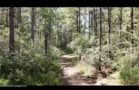 0 Union Rd SE, Brookhaven, MS 39601 photo 10