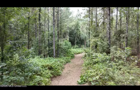 0 Union Rd SE, Brookhaven, MS 39601 photo 16