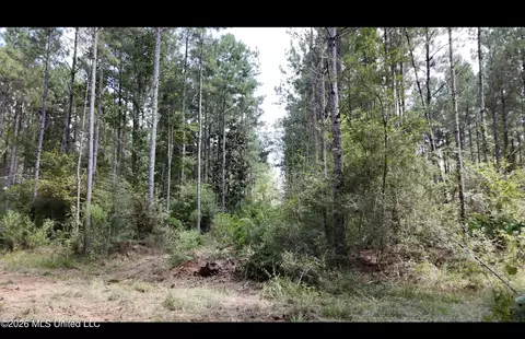 0 Union Rd SE, Brookhaven, MS 39601 photo 11