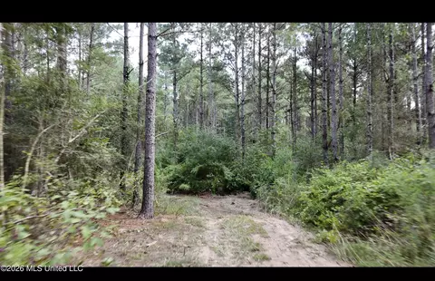 0 Union Rd SE, Brookhaven, MS 39601 photo 9