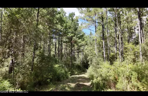 0 Union Rd SE, Brookhaven, MS 39601 photo 13