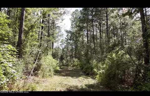 0 Union Rd SE, Brookhaven, MS 39601 photo 12